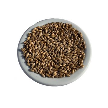 Slad nakurovaný Beech Smoked Barley malt 1 kg Weyermann