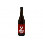 Christmas IPA 16° 0,7l pivovar Raven
