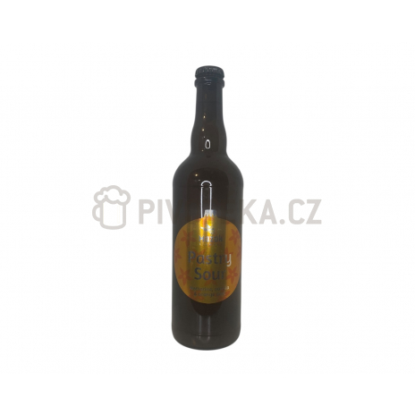 Vánoční pastry sour 16   0,7l pivovar Mazák