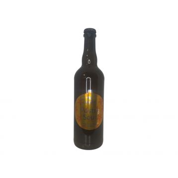Vianočné pastry sour 16 0,7l pivovar Mazák
