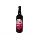 Raspberry sour 12 0,7l Pivovar Ogar