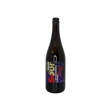 Sour ale slivka, brusnica a zázvor 12 0,7l pivovar Hradecký Klenot