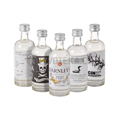 The Gin Box World Tour 10x 0,05 l